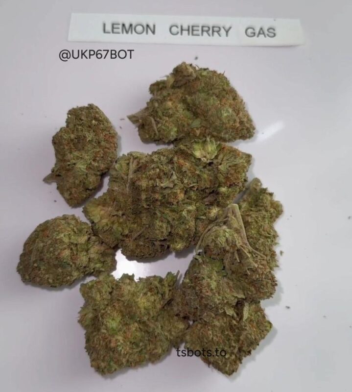 Cali Lemon Cherry Gas